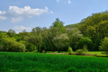 Mittelgebirgslandschaft der Haßberge bei Goßmannsdorf, Ortsteil der Stadt Hofheim in  Unterfranken, Landkreis Haßfurt, Naturpark Haßberge,  Unterfranken, Franken, Bayern, Deutschland