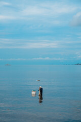 Obraz premium Old fishermen looking for fish on the beach with nets and cork boxes. Portrait photo