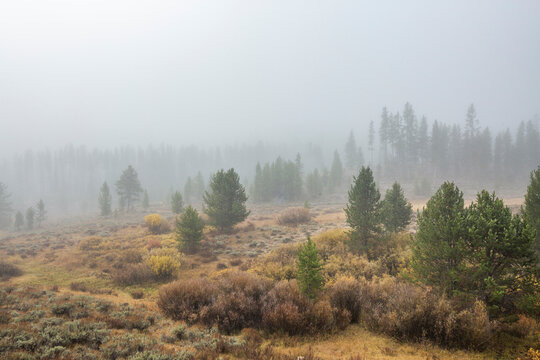USA, Idaho, Stanley, Foggy mountain scene