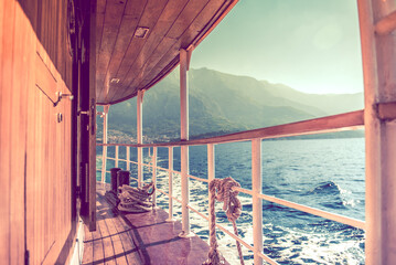 Boat Trip with Scenic View