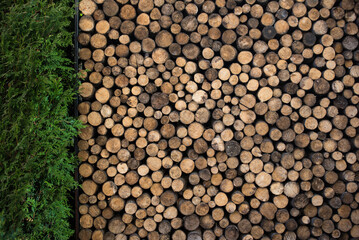 Pile of Wood Logs in Storage Area