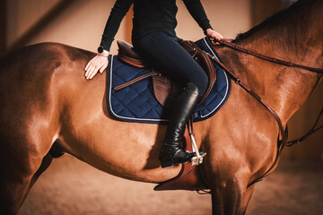 Stylish Equestrian Rider on a Horse in Luxury Brown Leather Equipment - obrazy, fototapety, plakaty