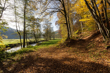 Obraz premium Das Naturschutzgebiet Unteres Schondratal, zwischen der Gemeinde Heiligkreuz und Gräfendorf, im Biosphärenreservat Rhön und dem Naturpark Spessart, Unterfranken, Franken, Bayern, Deutschland