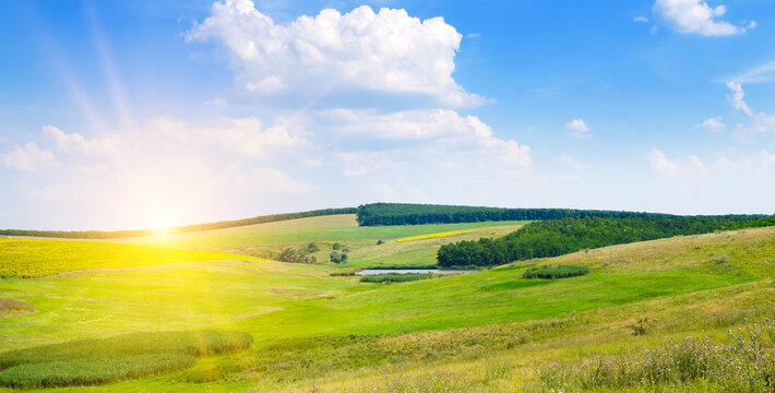 Green meadow (grassland) on a hilly landscape and Sky with bright sun. Wide photo.