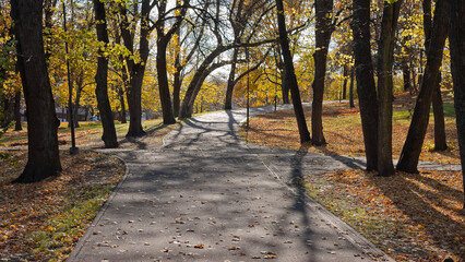 autumn park, photo of autumn trees in the park