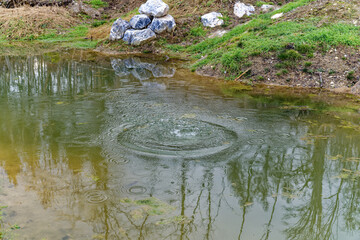 Throwing stone into pond in the woods with splashing water fountain on a cloudy winter day at City...
