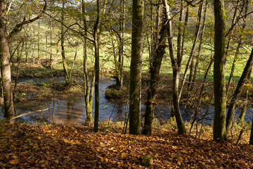 Obraz premium Das Naturschutzgebiet Unteres Schondratal, zwischen der Gemeinde Heiligkreuz und Gräfendorf, im Biosphärenreservat Rhön und dem Naturpark Spessart, Unterfranken, Franken, Bayern, Deutschland