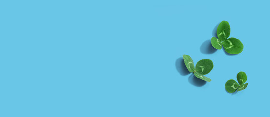 Clover leaves - St. Patricks Day - Flat lay