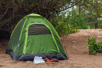 Camping tent under a tree in the forest