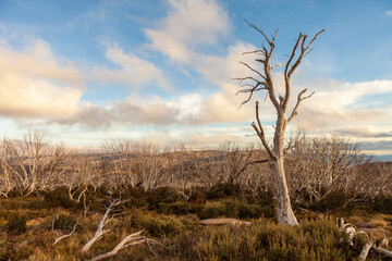  Kosciuszko National Park