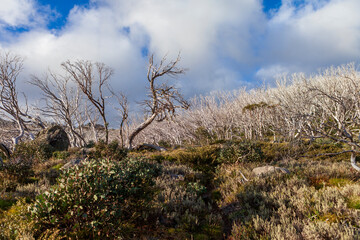  Kosciuszko National Park