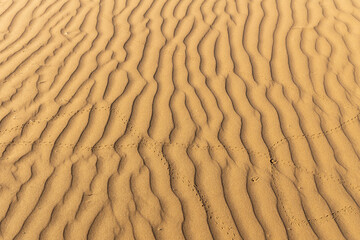 The sand of the Garagum Desert in Turkmenistan.  