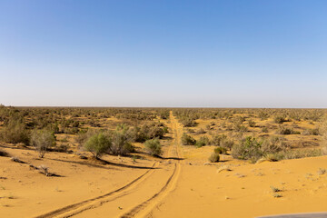 Landscape of Garagum desert in Turkmenistan