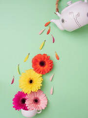 Top view of creative design: teapot pouring colorful petals over flowers on white teacup on light...