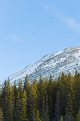 View of the hill from the ski track in  Bydalen - 568909092