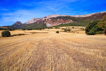  Rural fields