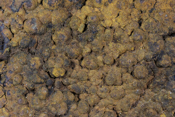 limonite from the Black Forest, Germany for background use