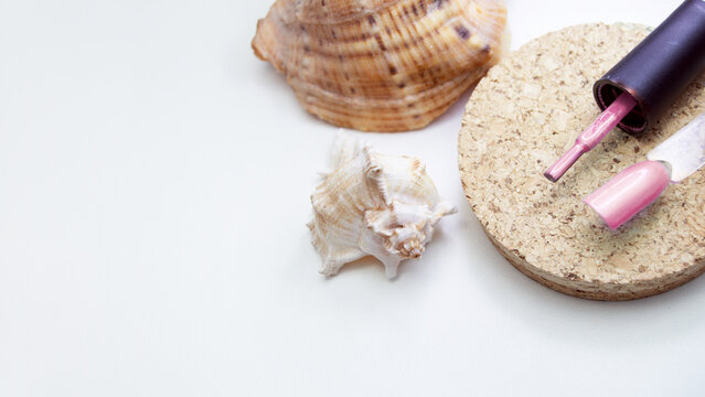 Nail polish on a cork stand with a seashell. White background, banner with space for text. Nail care, beauty salon