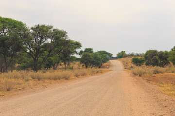 Fototapeta na wymiar Gravel road to Waterberg Plateau National Park. Namibia.