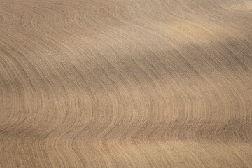 Naklejka premium texture of a plowed earthen field