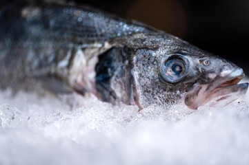 fresh fish closeup on ice