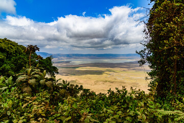 Fototapeta na wymiar View of the Ngorongoro crater in Tanzania. Ngorongoro conservation area. African landscape. WIld nature