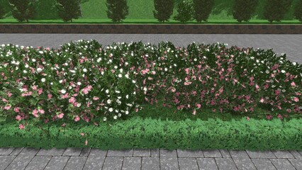 3D illustration of a modern landscape design of a city square. Computer visualization of landscaping. Contrasting composition from a group of plants.