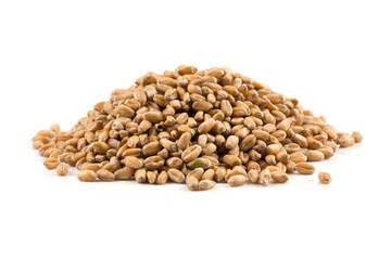 Fototapeta premium Wheat grain on white