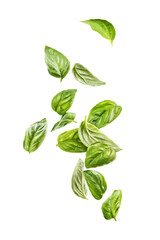 basil in flight on a white background