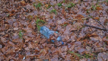 Plastic Bottle Dumped Among Brown Leaves Foliage Forest Litter