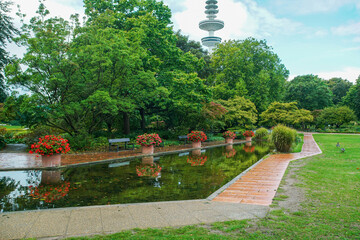 A pond with red flowers in large pots, reflected in the water in the botanical garden "Planten un Blomen" in Hamburg. Television tower in Hamburg, garden paths