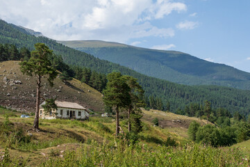 Fototapeta na wymiar Panoramic view of idyllic mountain scenery with mountain chalet and fresh green mountain pastures with blooming flowers on a sunny day with blue sky and clouds in summer