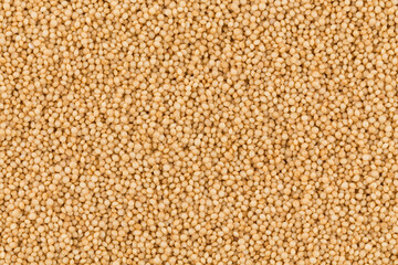 amaranth grain closeup