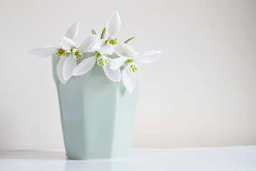 White fresh snowdrops flowers in ceramic vase