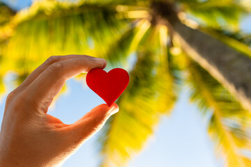 Hand holding heart against palm trees and blue sky background. Tropical summer vacation honeymoon holiday concept. 
