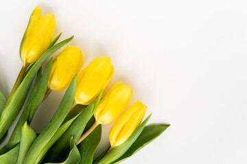 spring flowers yellow tulips until March 8