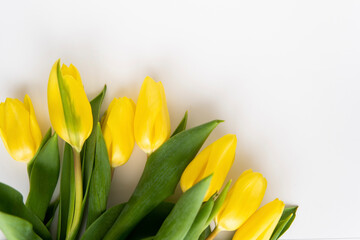 spring flowers yellow tulips until March 8