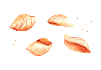Yellow Raw Pasta conchiglie. Watercolor hand drawn illustration for restaurant and cafe menu