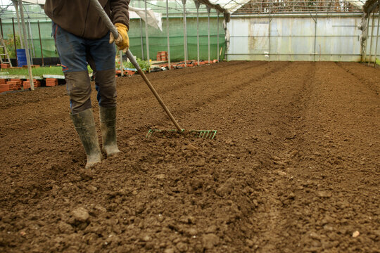 Hombre con botas y guantes preparando la tierra con un rastrillo dentro de un invernadero.