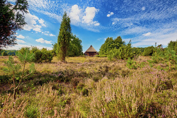 typische Heidelandschaft mit Schnuckenstall in der Lüneburger Heide bei Bispingen Oberhaverbeck in...