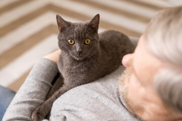 elderly people take care of cats and enjoy them at home