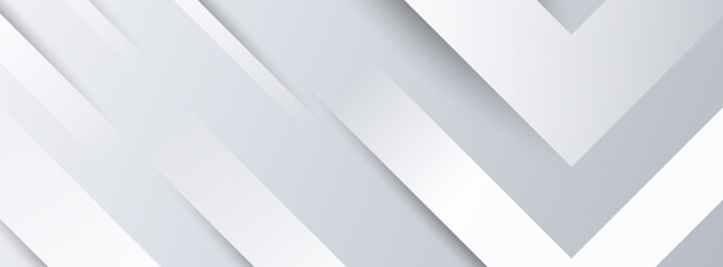 banner background. full color.Abstract light silver .diagonal white.eps 10