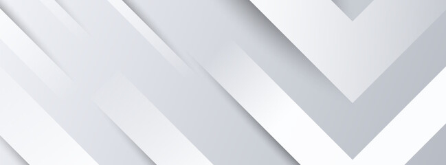 Fototapeta premium banner background. full color.Abstract light silver .diagonal white.eps 10
