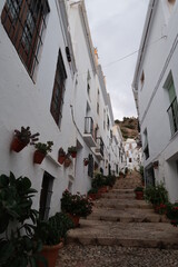 Fototapeta na wymiar Alley in the picturesque whitewashed village of Frigiliana on the Costa del Sol