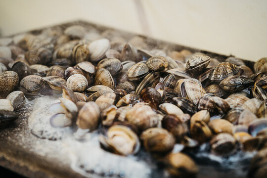 Making shellfish