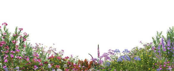 foreground flower gardens and meadows on a transparent background. - obrazy, fototapety, plakaty