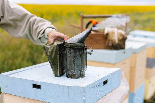 Bee smoker beehive agriculture