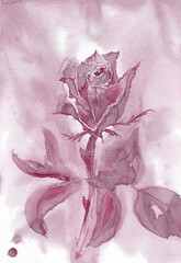 Single rose as a symbol of love. Hand made art painting with red dry wine on paper texture. Bitmap image