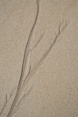 Natural texture of sand. Abstract beautiful drawings on the sand. Paintings in the sand
