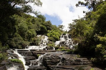 waterfall in the forest